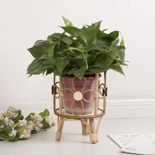 Support Pot de Fleur Bois - Univers Plante