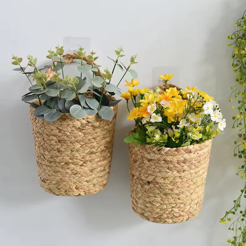 Support pour Plante Suspendue - Univers Plante