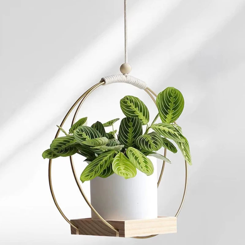 Suspension Plante Bois - Univers Plante
