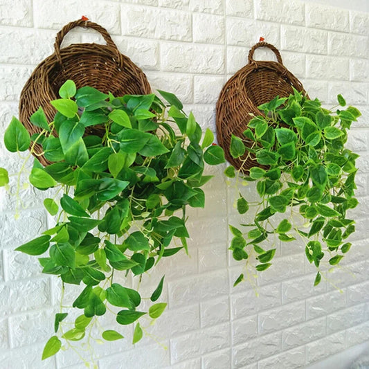 Suspension Plante Tombante - Univers Plante