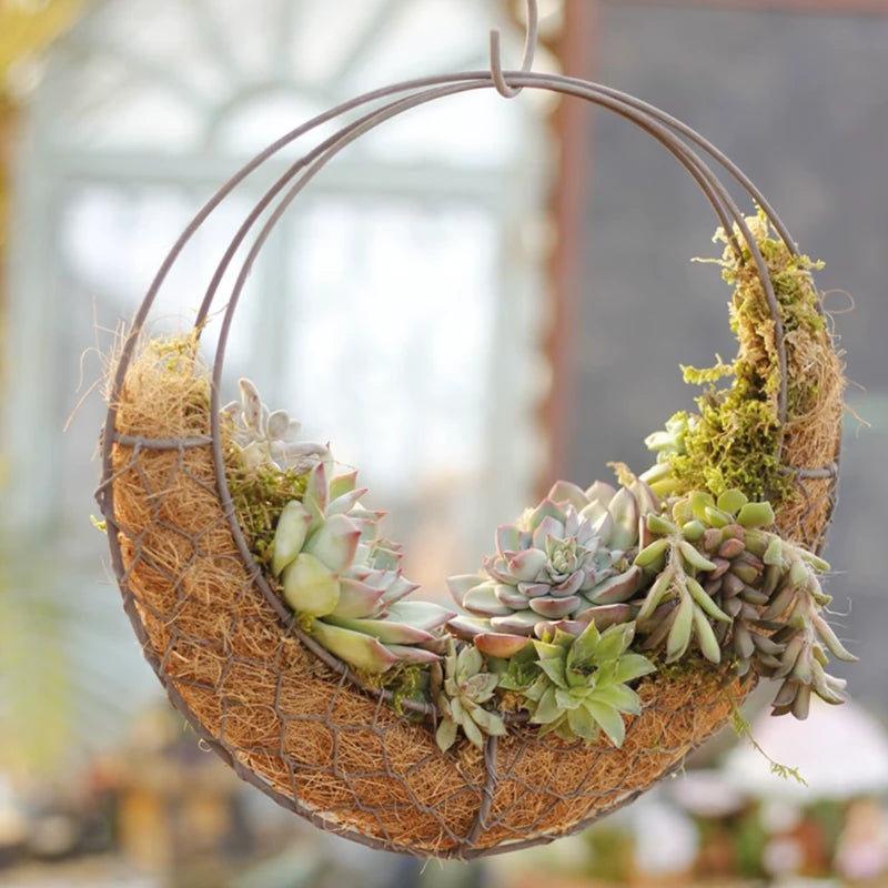 Suspension Plante en Fer - Univers Plante