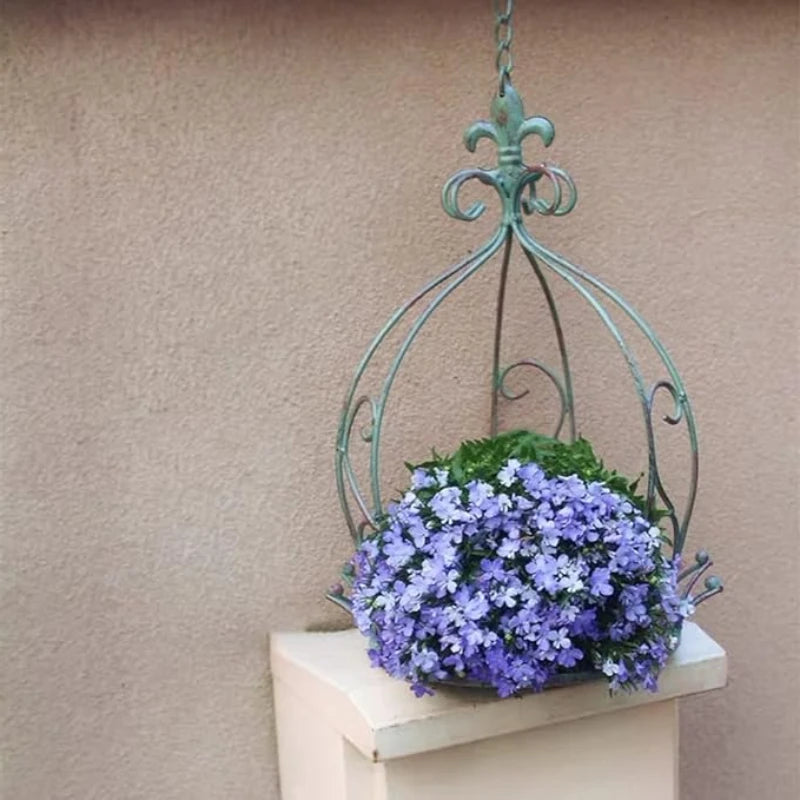 Suspension en Fer Forgé pour Plantes