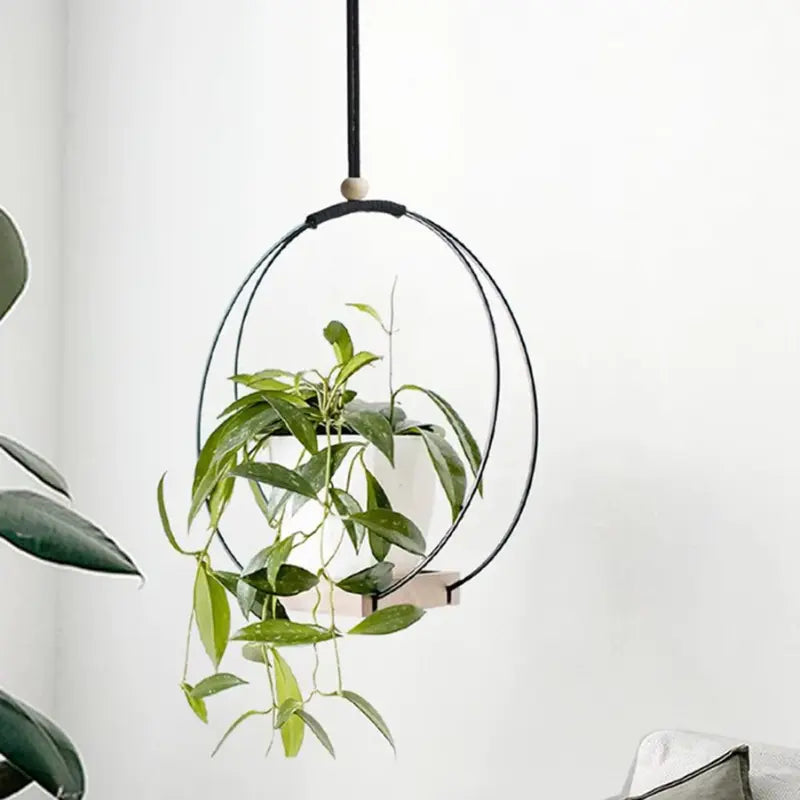 Suspension pour Plante Intérieur