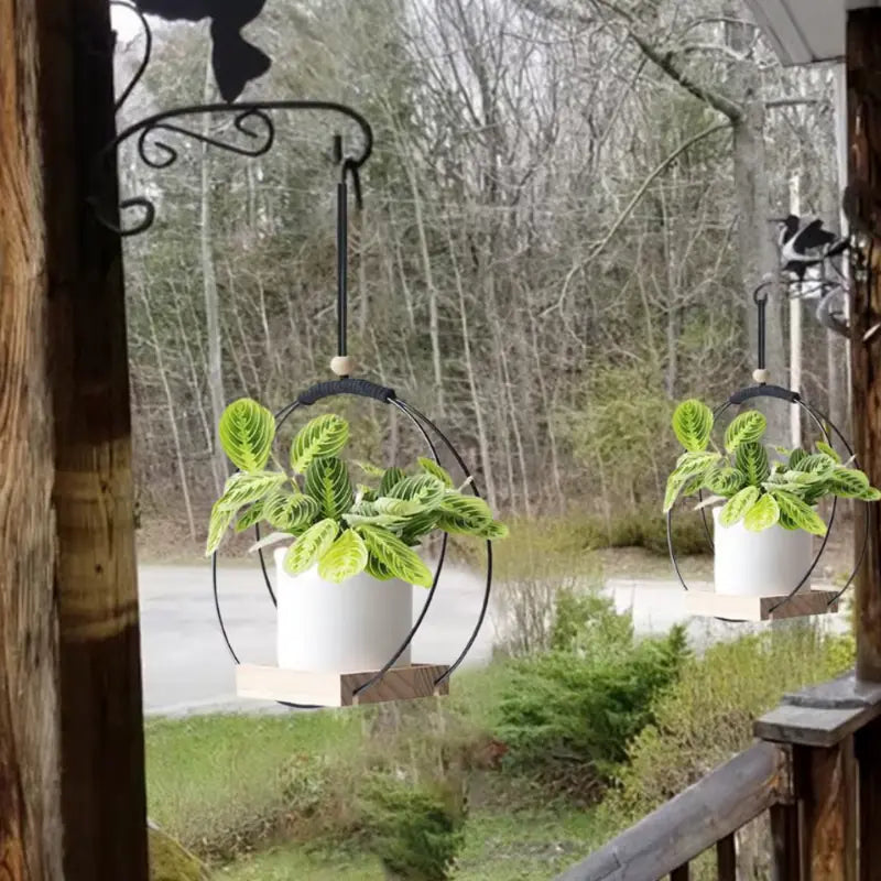 Suspension pour Plante Intérieur
