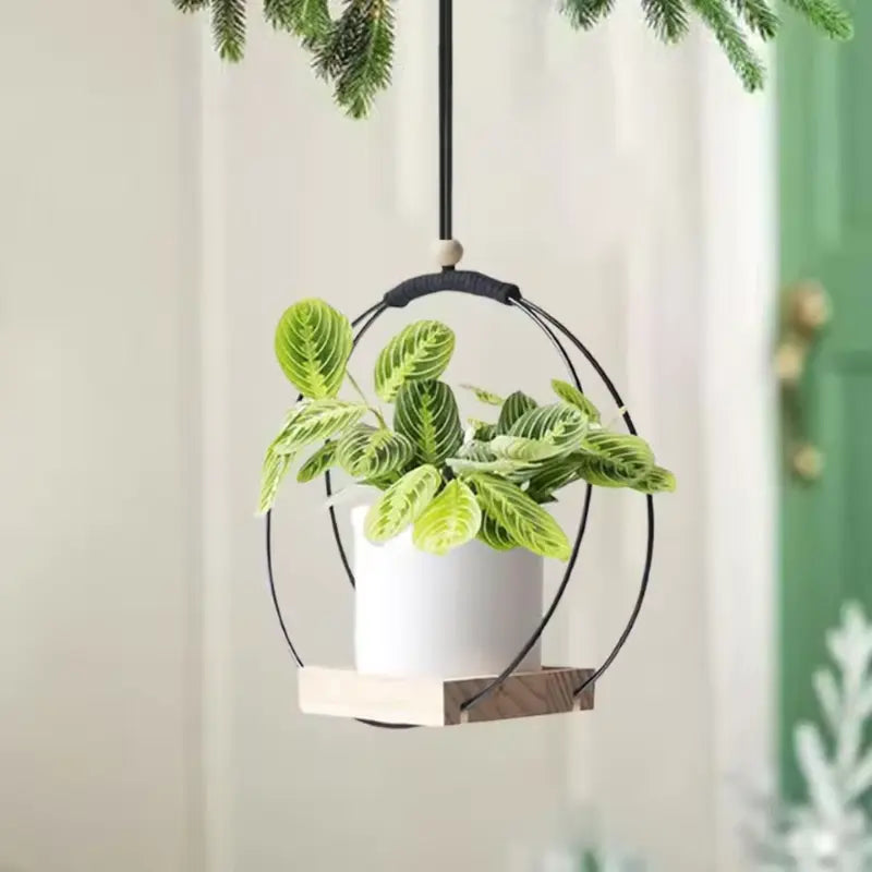 Suspension pour Plante Intérieur - Univers Plante