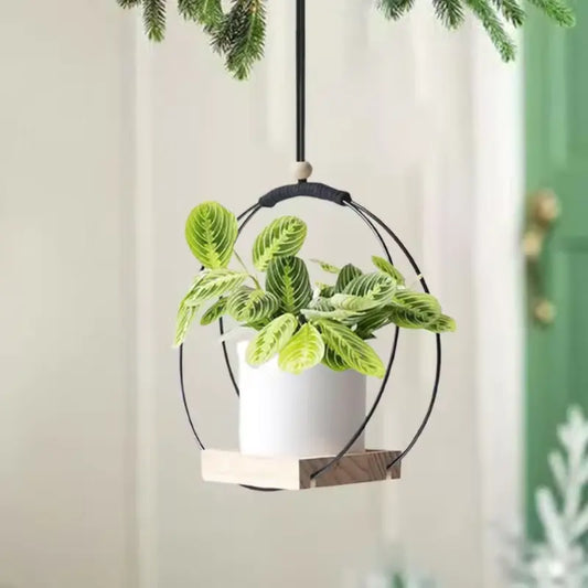 Suspension pour Plante Intérieur - Univers Plante
