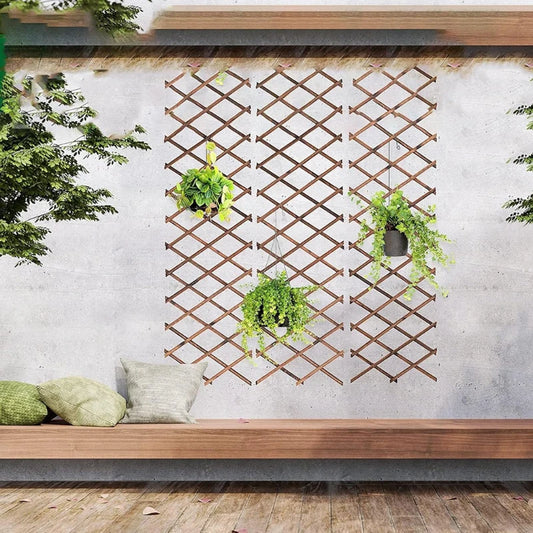 Treillage Bois Plante Grimpante - Univers Plante