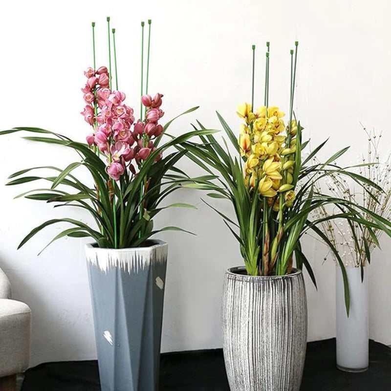 Treille pour Plante Grimpante