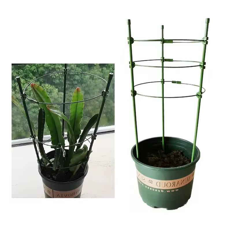 Treille pour Plante Grimpante