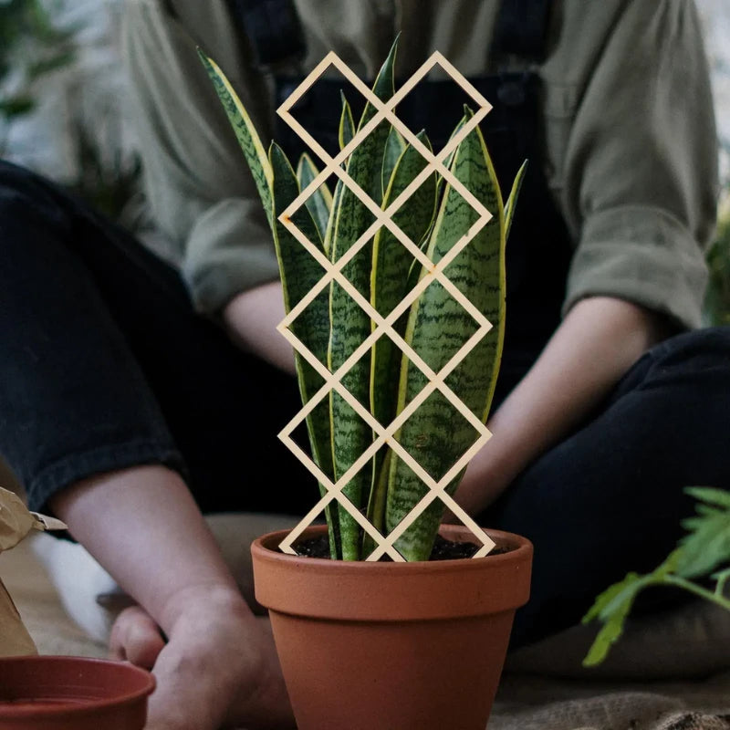 Treillis Bois pour Plante Grimpante - Univers Plante