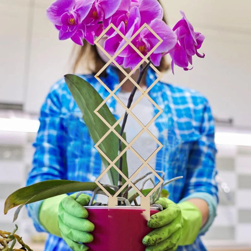 Treillis Bois pour Plante Grimpante