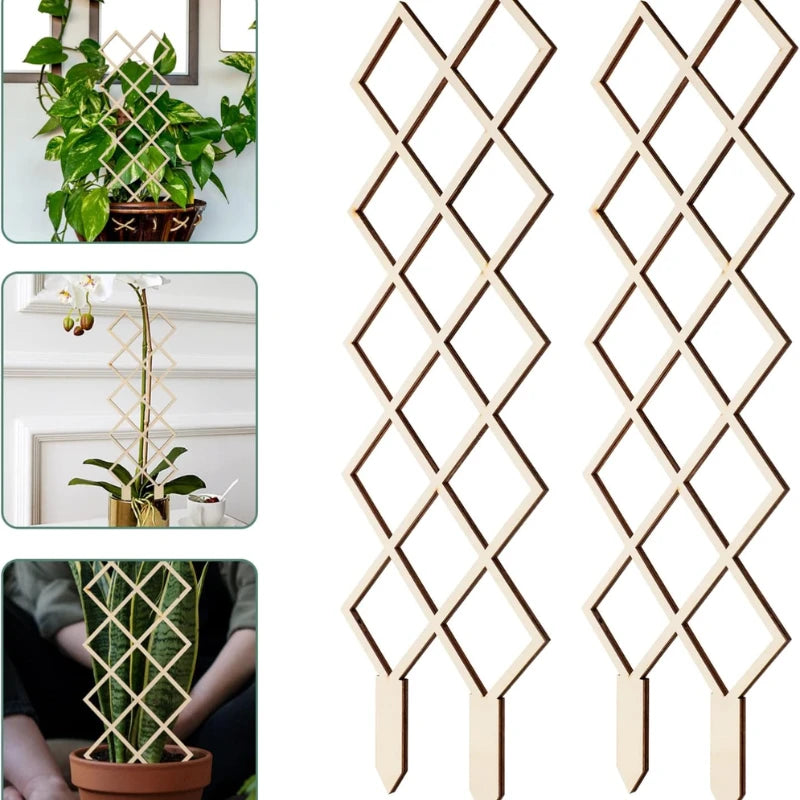 Treillis Bois pour Plante Grimpante