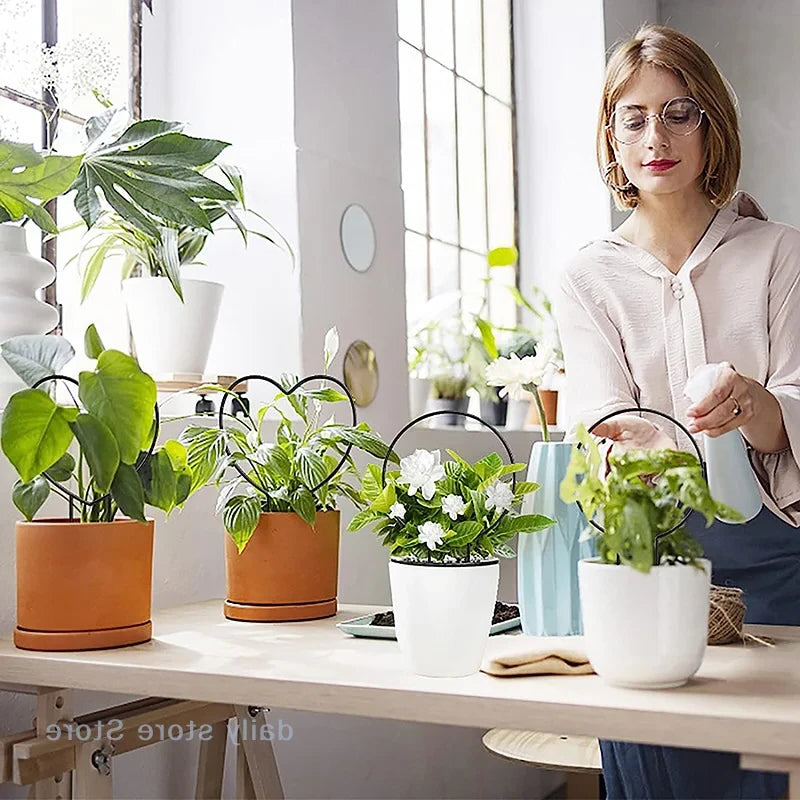 Treillis Métal pour Plantes Grimpantes