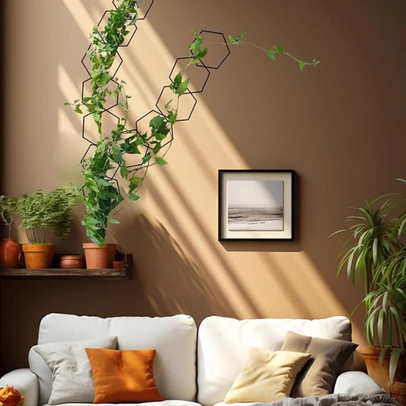 Treillis Mural pour Plante Grimpante - Univers Plante