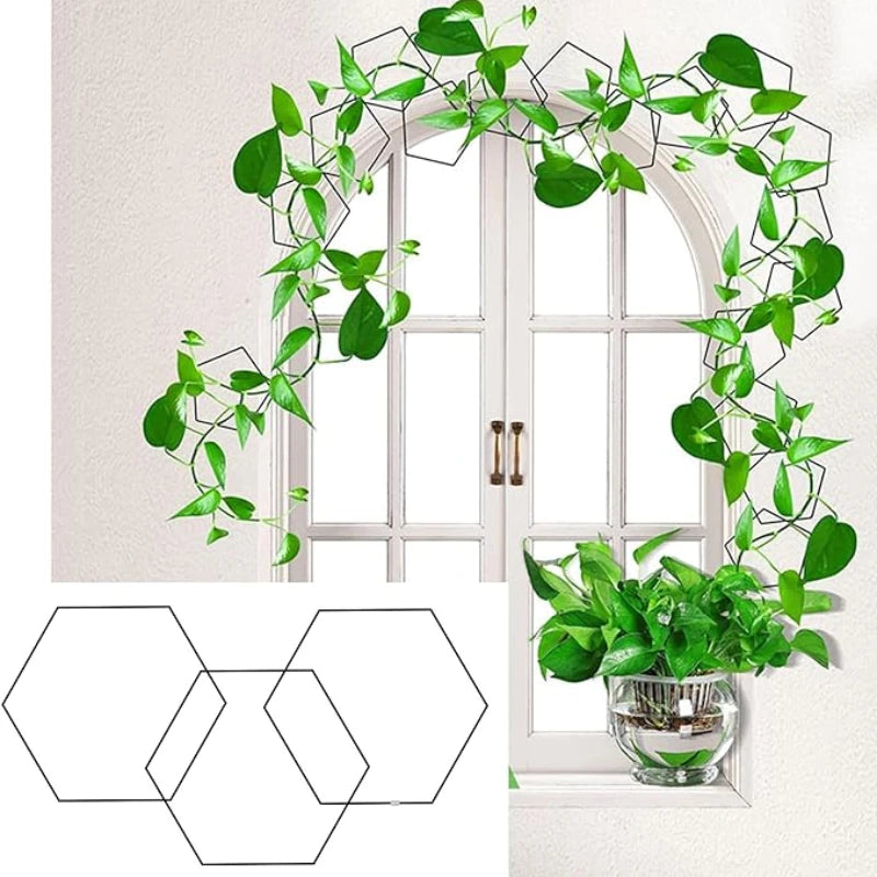Treillis Mural pour Plante Grimpante