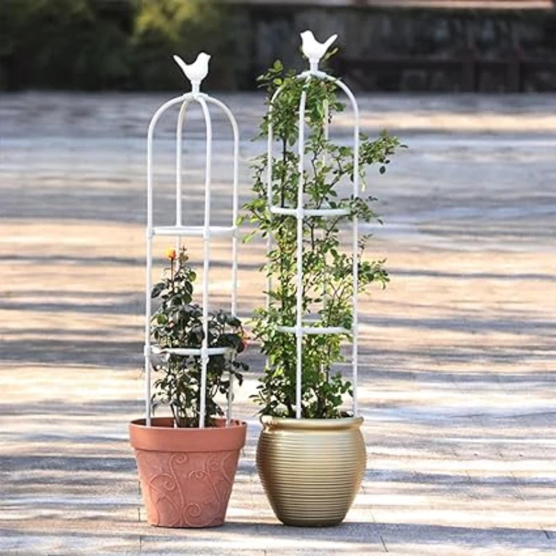 Treillis Plante - Univers Plante