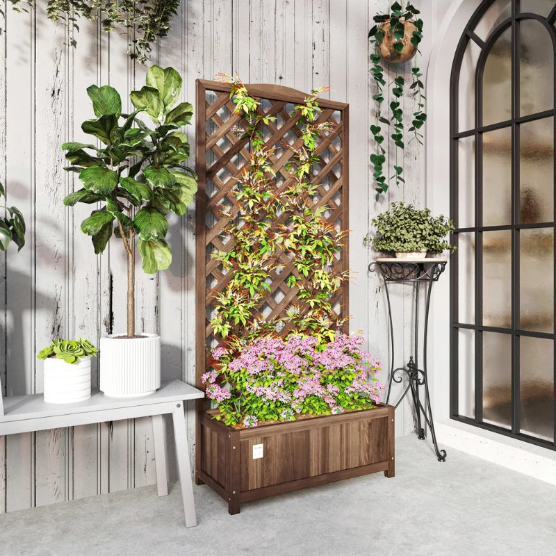Treillis Plante Grimpante Extérieur