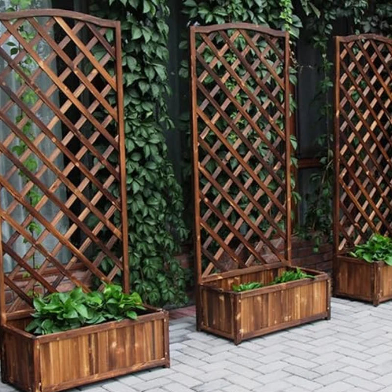 Treillis Plante Grimpante Extérieur