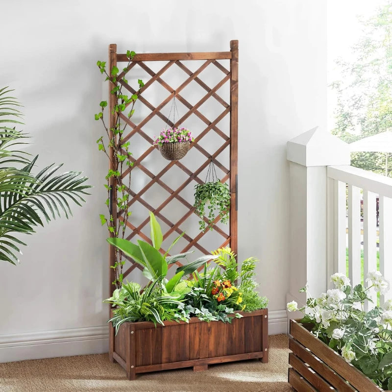 Treillis Plante Grimpante Extérieur