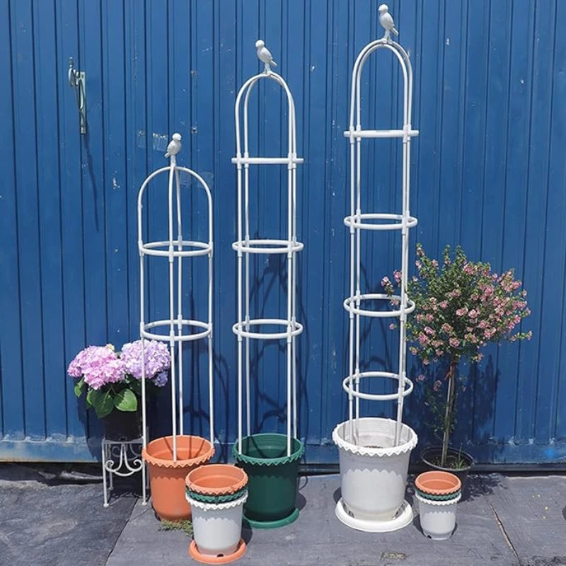 Treillis Plante