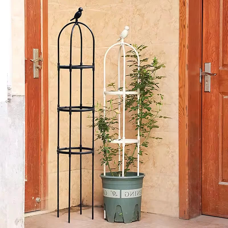 Treillis Plante