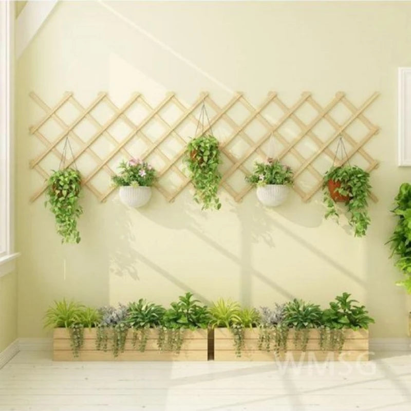Treillis Pour Plante Grimpante