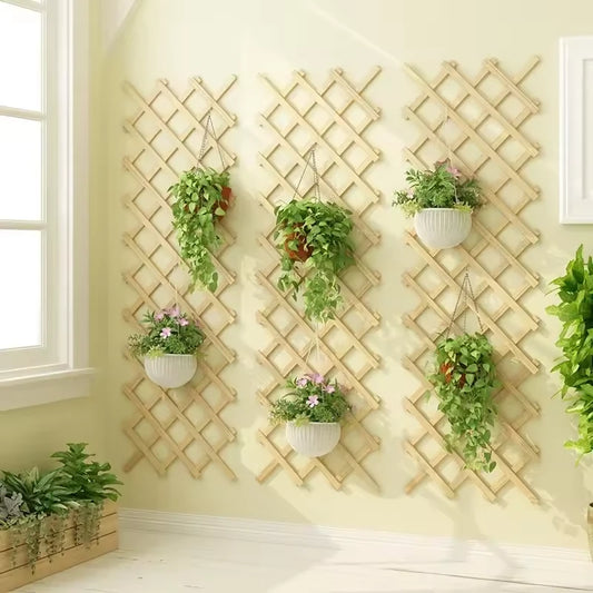 Treillis Pour Plante Grimpante - Univers Plante