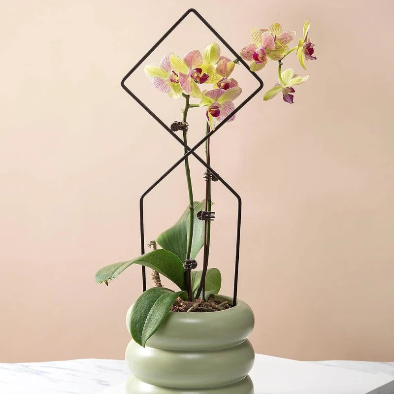 Treillis Support Plante Grimpante - Univers Plante