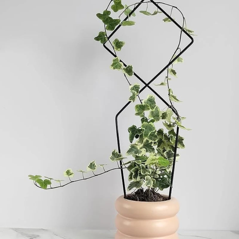 Treillis Support Plante Grimpante
