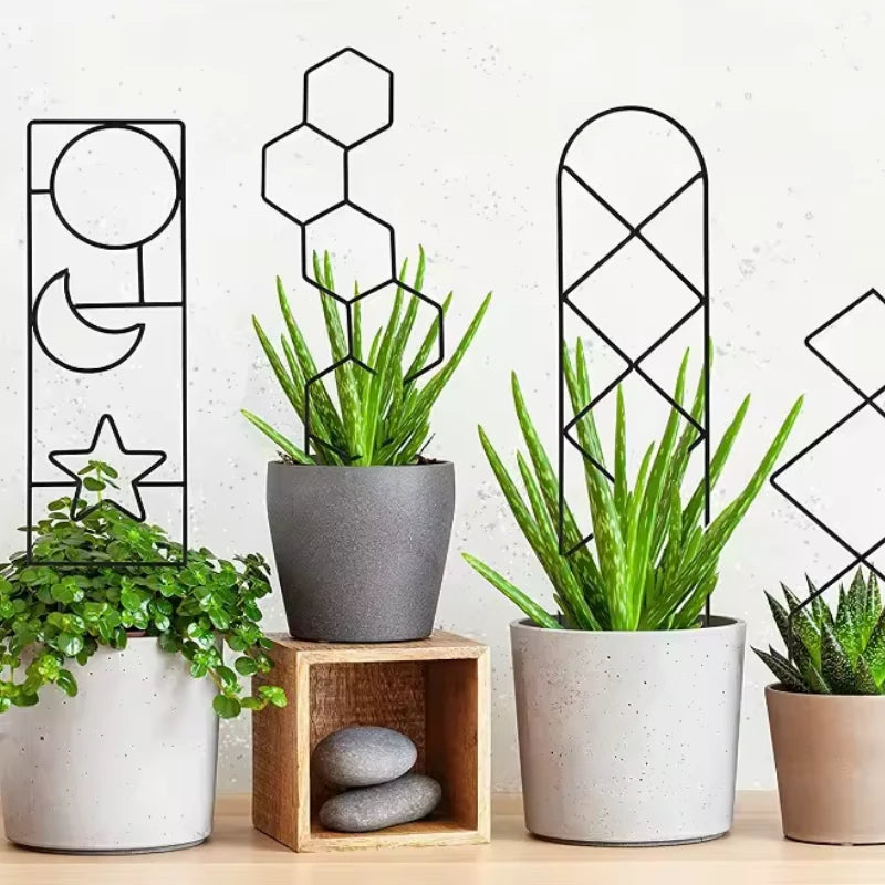 Treillis Support Plante Grimpante
