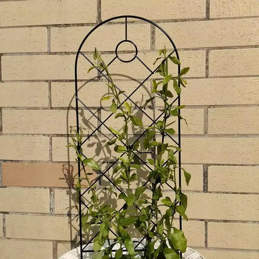 Treillis à Planter dans le Sol - Univers Plante