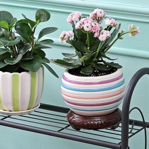 Étagère à Plantes Extérieur
