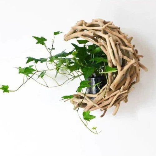 Porte Plante en Bois Flotté - Univers Plante