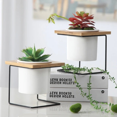 Support Plante Design
