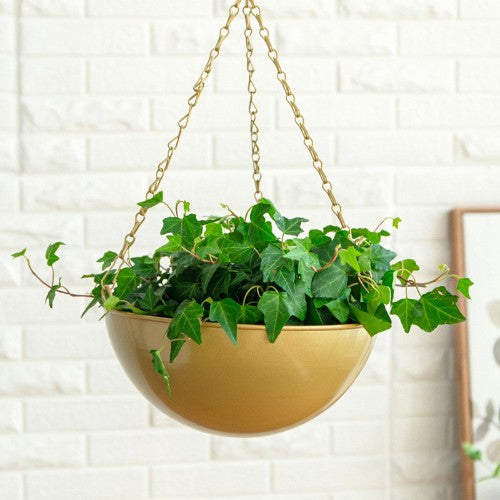 Porte Plante Suspendue