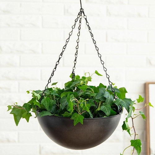 Porte Plante Suspendue