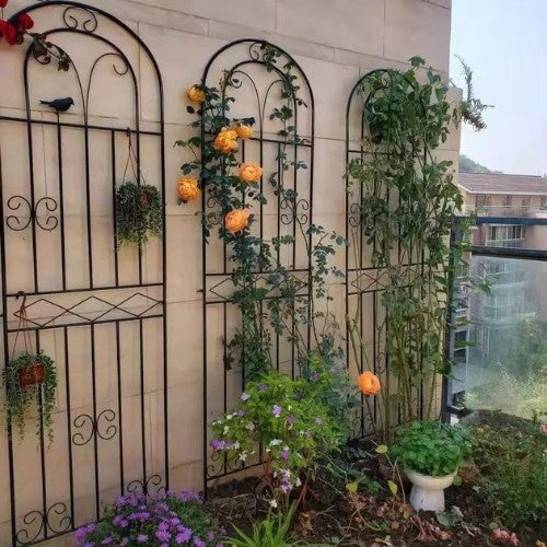 Support Mural pour Plante Grimpante