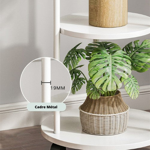 Supports Plantes d’Intérieur