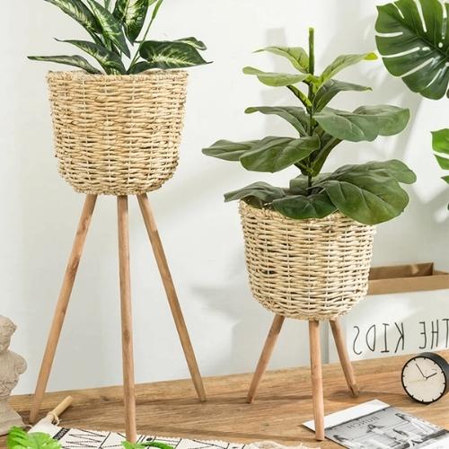 Porte Plante sur Pied - Univers Plante