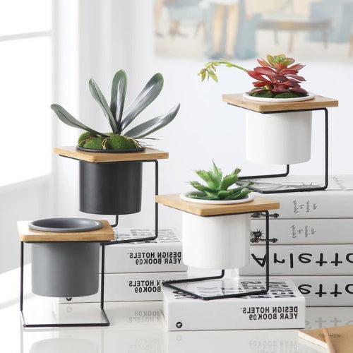 Support Plante Design - Univers Plante