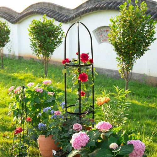 Support Metal Plantes Grimpantes - Univers Plante