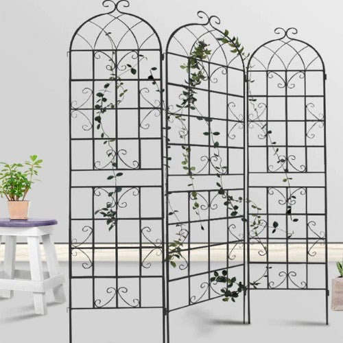 Support Mural en Fer Forgé pour Plantes - Univers Plante