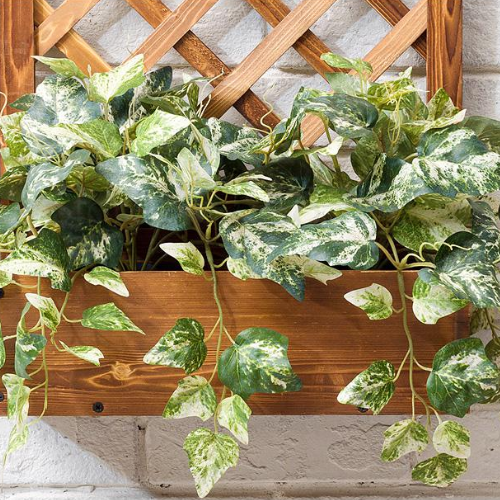Support Mural pour Plantes Exterieur