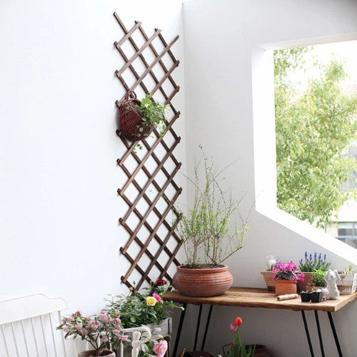 Support Bois pour Plantes Grimpantes