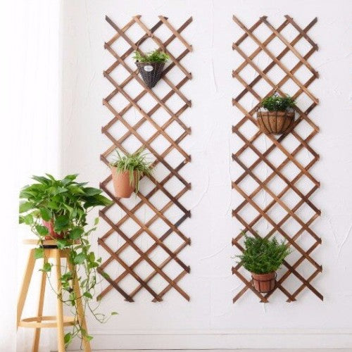 Support Bois pour Plantes Grimpantes
