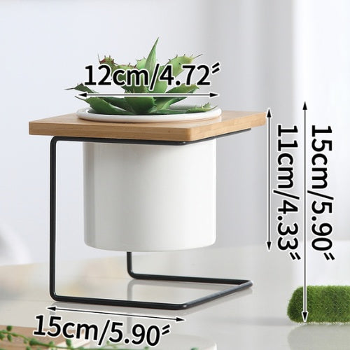 Support Plante Design