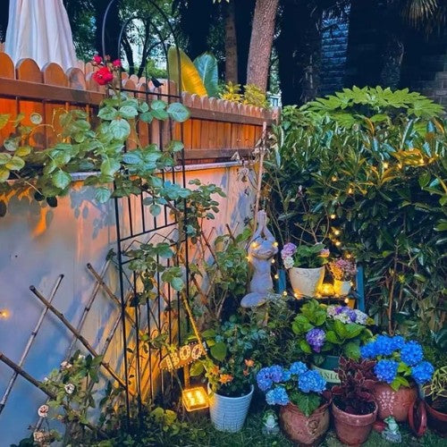 Support Mural pour Plante Grimpante