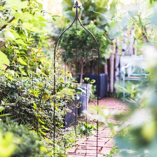 Support pour Plante Grimpante Exterieur - Univers Plante