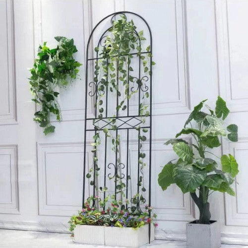 Support Mural pour Plante Grimpante - Univers Plante
