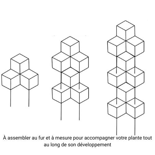 Support pour Plante Grimpante Interieur